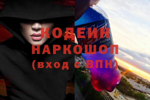 СК Бронницы
