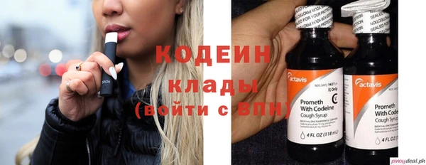 СК Бронницы