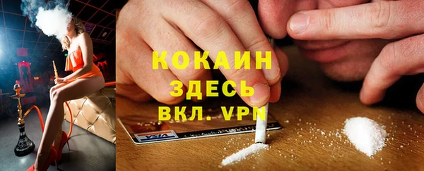 СК Бронницы