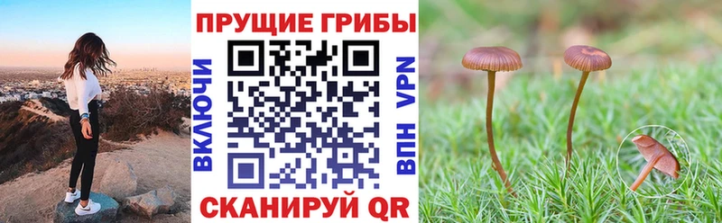 кракен вход  Козловка  Галлюциногенные грибы прущие грибы 
